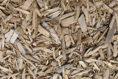 biomass boilers Hempton